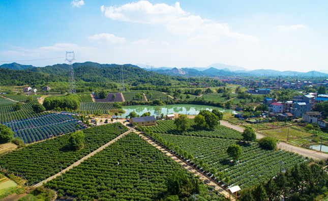 内90daf49593be_副本.jpg 内90daf49593be_副本.jpg