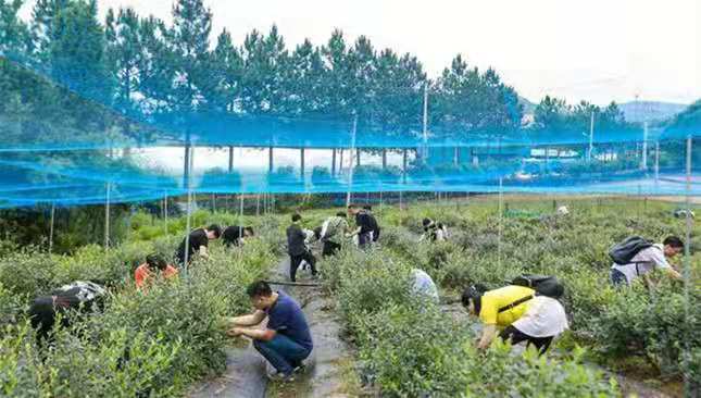 8d8e403fe6bf02942b00f443277d8f0.jpg 8d8e403fe6bf02942b00f443277d8f0.jpg