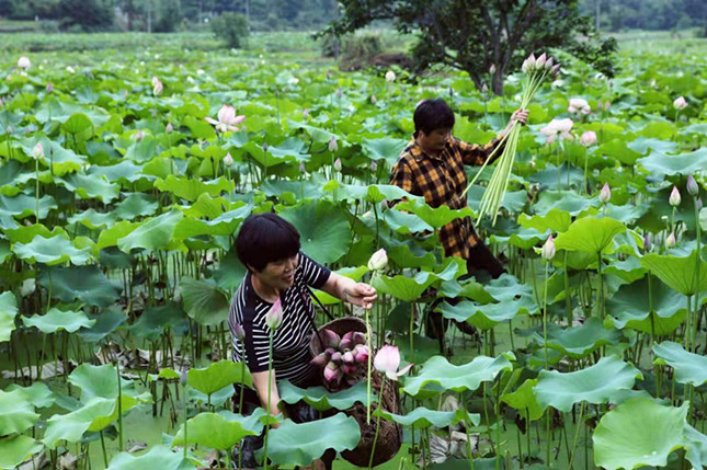 内 747a1485d3acc1_副本.jpg 内 747a1485d3acc1_副本.jpg