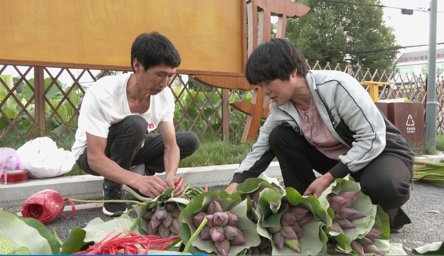 内36db4e77034322e_副本.png 内36db4e77034322e_副本.png