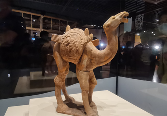 内 60d7bb2421c801e8_副本.jpg 内 60d7bb2421c801e8_副本.jpg