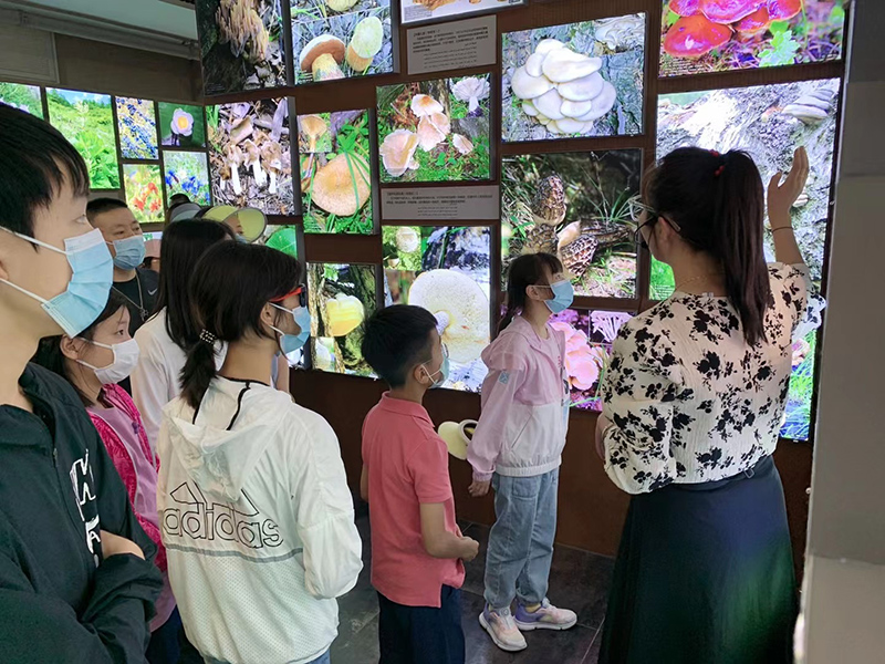 微信图片_20210625154744.jpg 微信图片_20210625154744.jpg