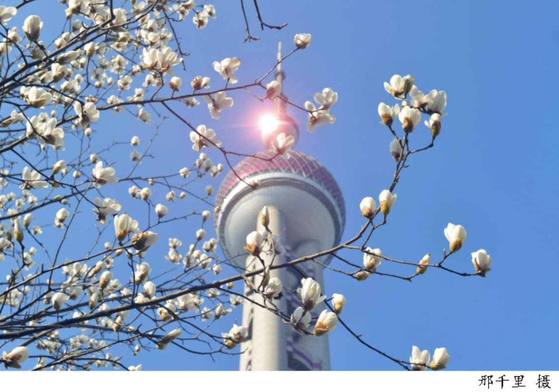 微信图片_20200322172244.jpg 微信图片_20200322172244.jpg