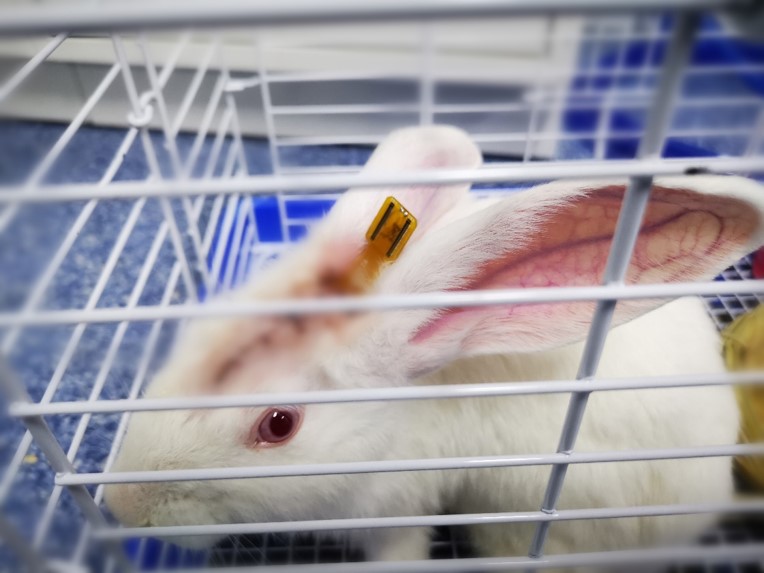 微信图片_202107091653551.jpg 微信图片_202107091653551.jpg