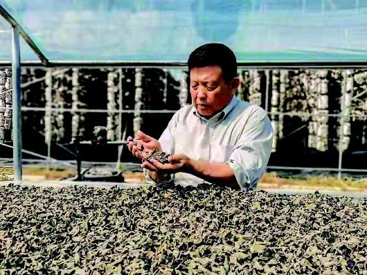 微信图片_20210724100649.jpg 微信图片_20210724100649.jpg