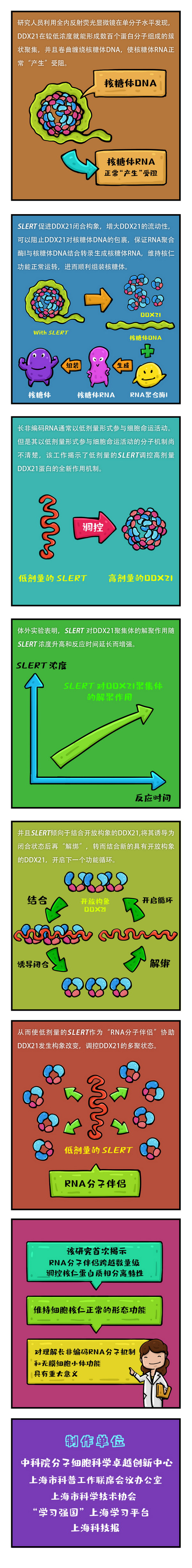 980261722.jpg 980261722.jpg