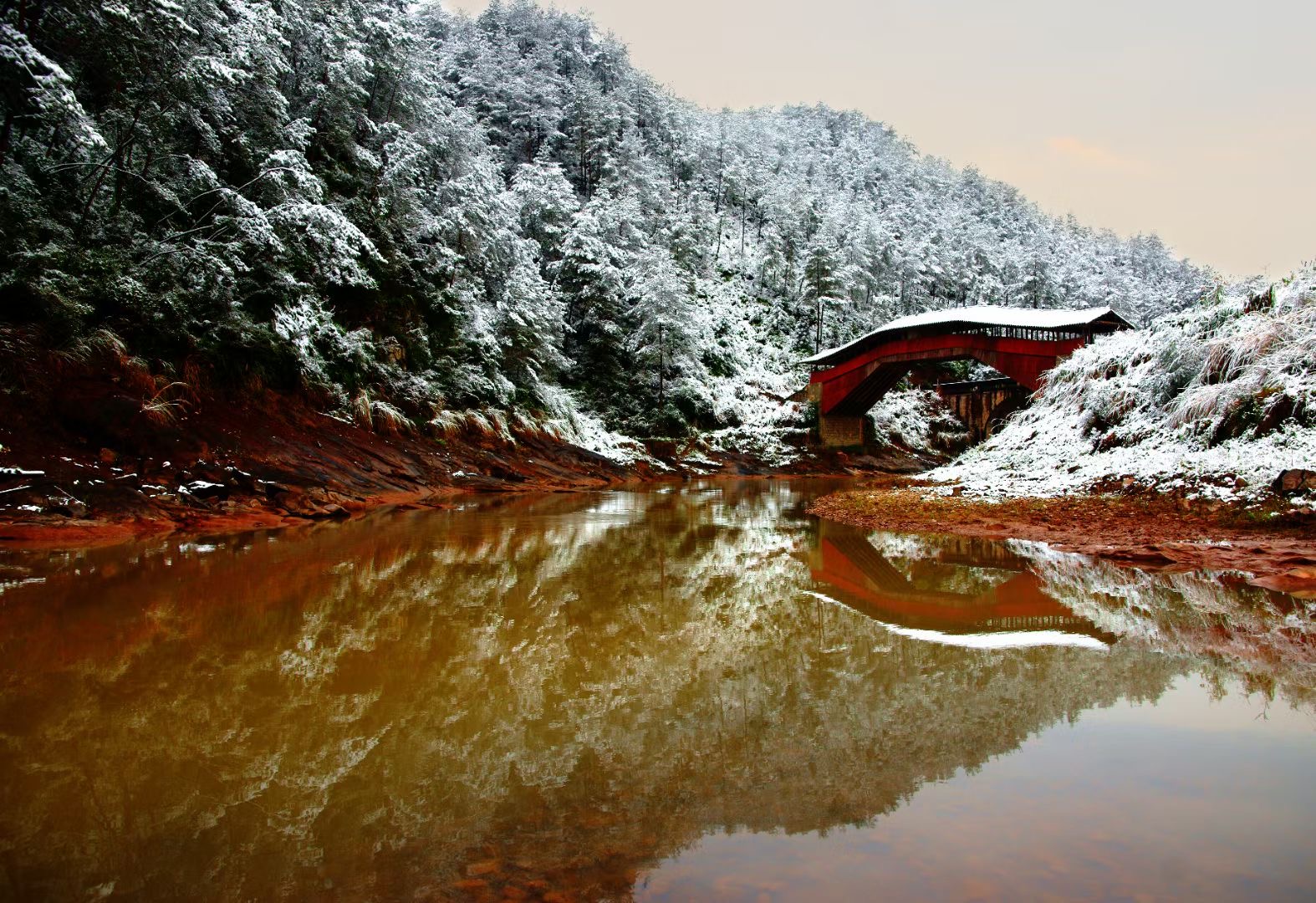 1295600306.jpg 1295600306.jpg