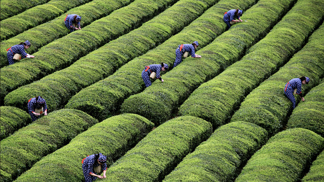 内 fffb367606745bd4_副本.jpg 内 fffb367606745bd4_副本.jpg