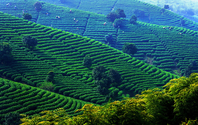 内 02154e20c3042f_副本.jpg 内 02154e20c3042f_副本.jpg