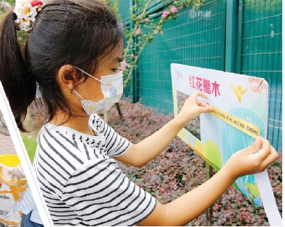 40906_p39.jpg 40906_p39.jpg