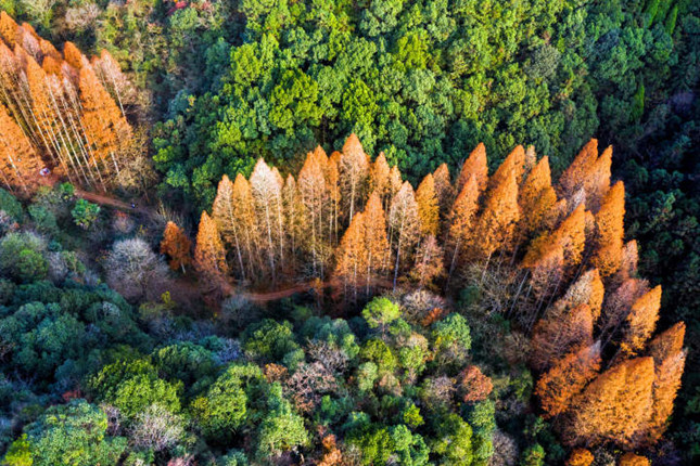 内 内 20210910151642_副本.jpg 内 内 20210910151642_副本.jpg