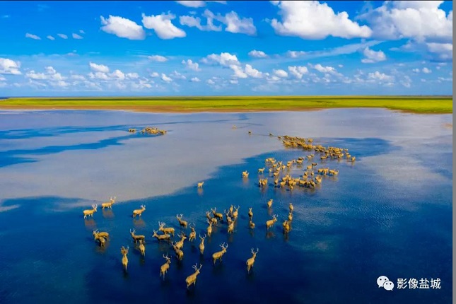 秋的精灵 孙华金摄.jpg 秋的精灵 孙华金摄.jpg