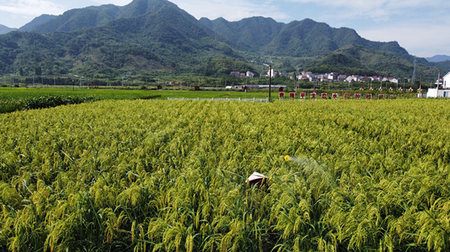 nei 7318adf09b8e_副本.jpg nei 7318adf09b8e_副本.jpg