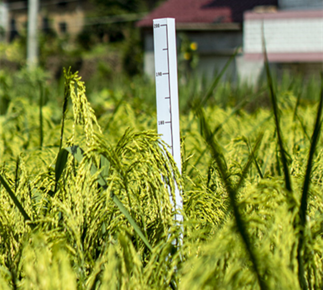 nei 8279963ee71740_副本.jpg nei 8279963ee71740_副本.jpg