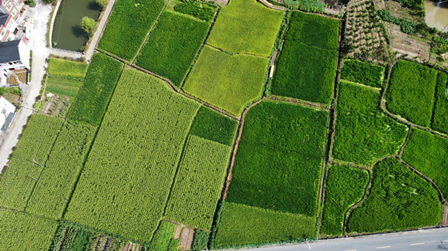 nei d937e1459301a_副本.jpg nei d937e1459301a_副本.jpg