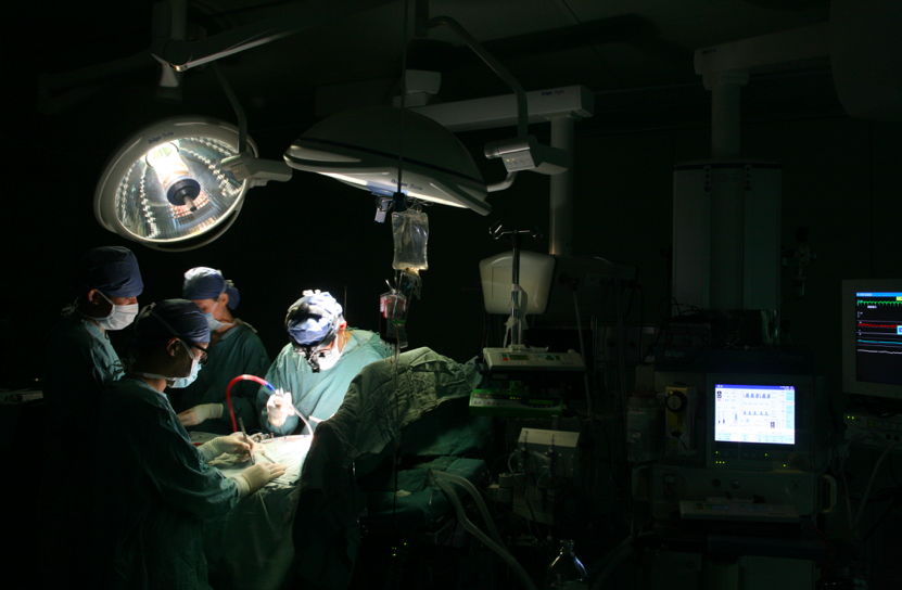 屏幕快照 2021-09-22 上午10.08.41.png 屏幕快照 2021-09-22 上午10.08.41.png