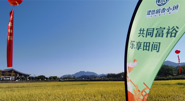 nei 6226f66c0d953ded1_副本.jpg nei 6226f66c0d953ded1_副本.jpg