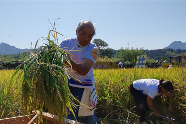 nei fbed5f02dfcacc3c_副本.jpg nei fbed5f02dfcacc3c_副本.jpg