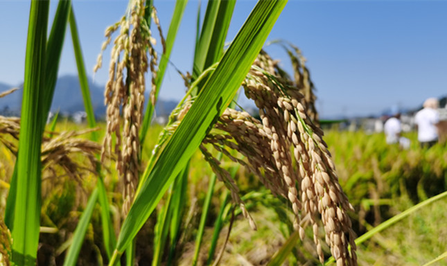 nei 4fcb5e3a3b049a_副本.jpg nei 4fcb5e3a3b049a_副本.jpg