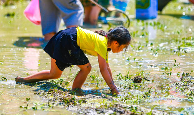 内 f90fd3bdb36b716_副本.jpg 内 f90fd3bdb36b716_副本.jpg