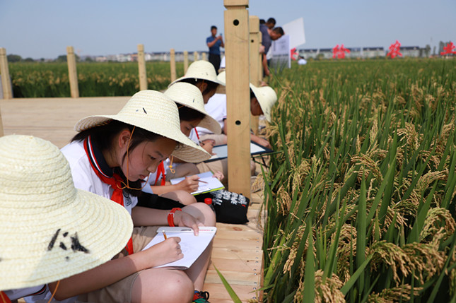 内 a7a2395d90394f3_副本.jpg 内 a7a2395d90394f3_副本.jpg