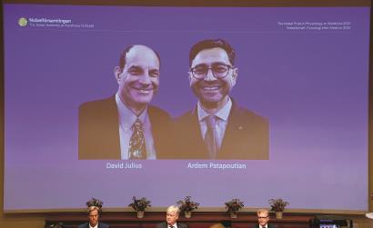 11005_p36.jpg 11005_p36.jpg