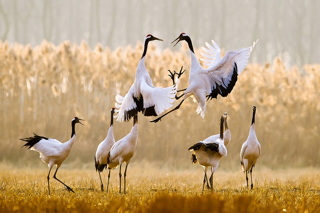 0ec517baf55b15cf2664b689ba6d5c4.jpg 0ec517baf55b15cf2664b689ba6d5c4.jpg