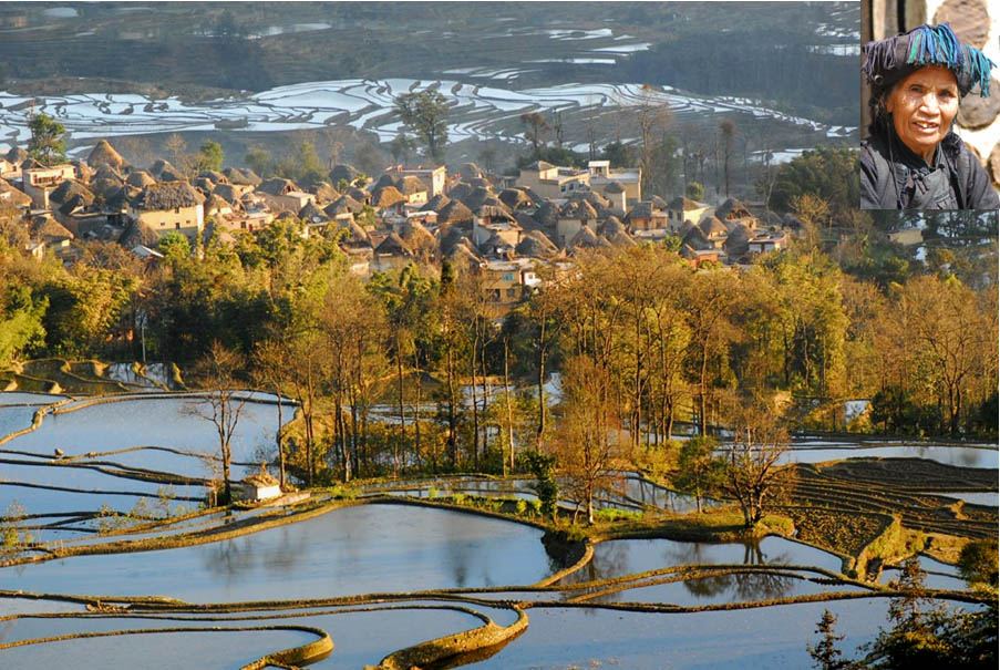 元阳红米.jpg 元阳红米.jpg