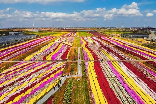 下载.jpg 下载.jpg