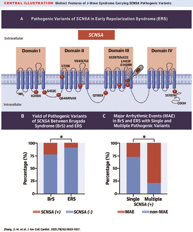微信图片_20211021130027.jpg 微信图片_20211021130027.jpg