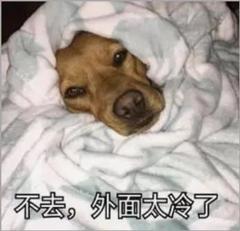 微信图片_20211026161438.jpg 微信图片_20211026161438.jpg