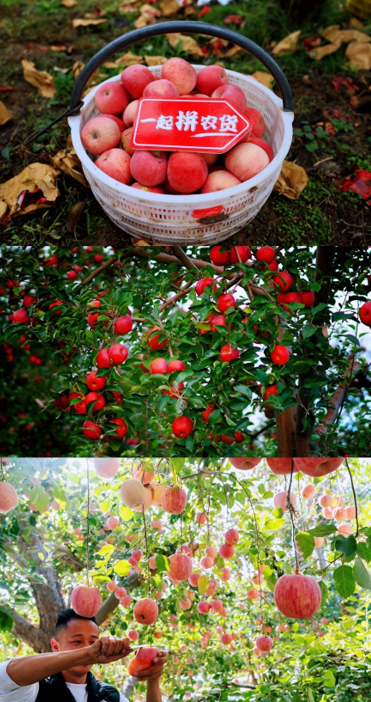 微信截图_20211029113433.png 微信截图_20211029113433.png