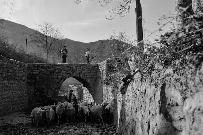 2031035998.jpg 2031035998.jpg