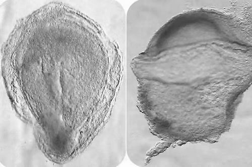 309c23cbab54230e714903.jpg 309c23cbab54230e714903.jpg