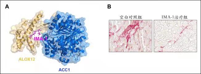 微信图片_20211216114845.jpg 微信图片_20211216114845.jpg