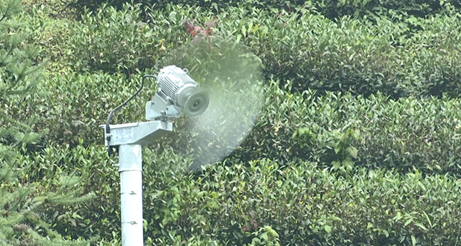 nei a88f2e53fa9fbf755_副本.png nei a88f2e53fa9fbf755_副本.png