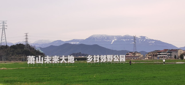 nei  af4383123d_副本.jpg