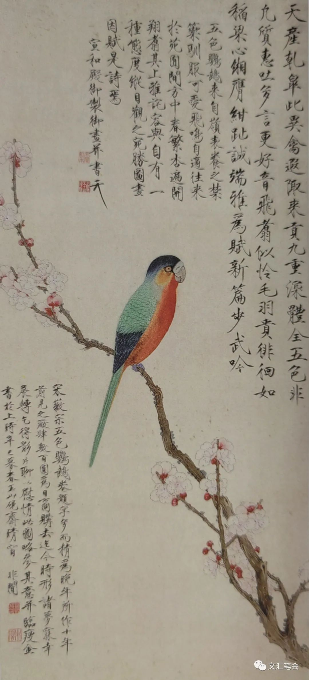 徐建融:于非闇杏花鹦鹉图.jpg 徐建融:于非闇杏花鹦鹉图.jpg