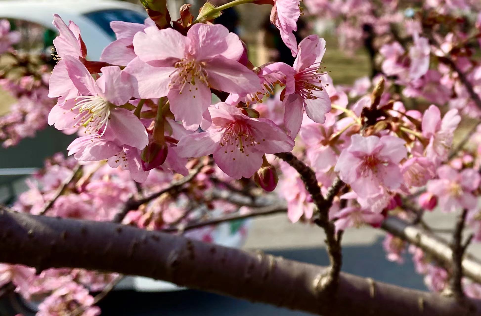 微信图片_20220303154655.jpg 微信图片_20220303154655.jpg