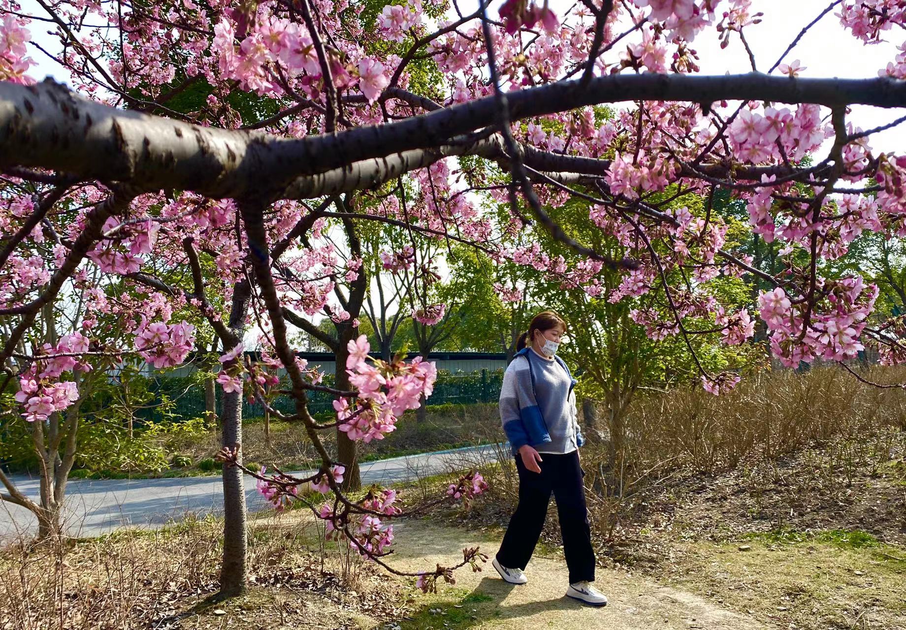 微信图片_20220303154709.jpg 微信图片_20220303154709.jpg