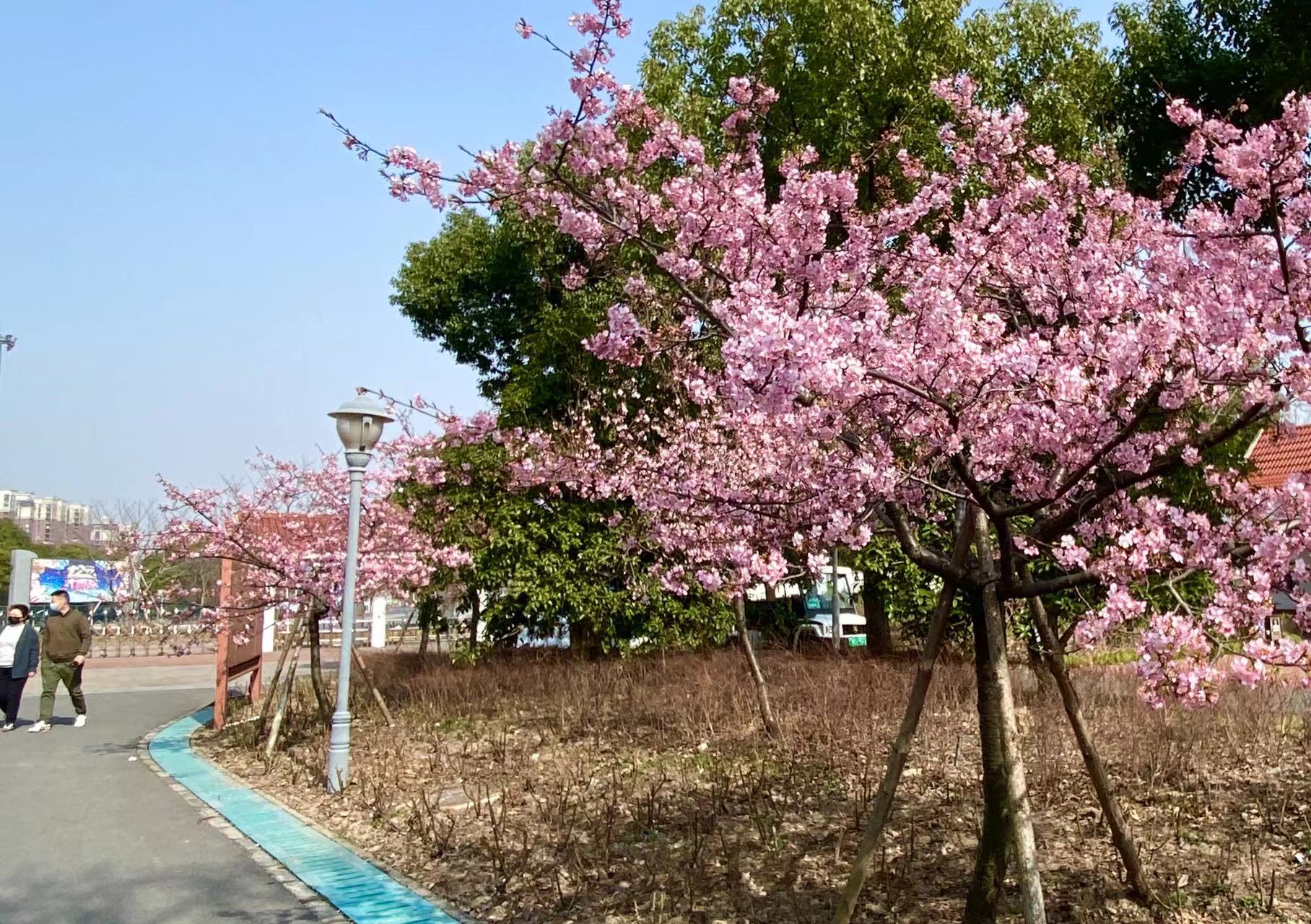 微信图片_20220303154715.jpg 微信图片_20220303154715.jpg