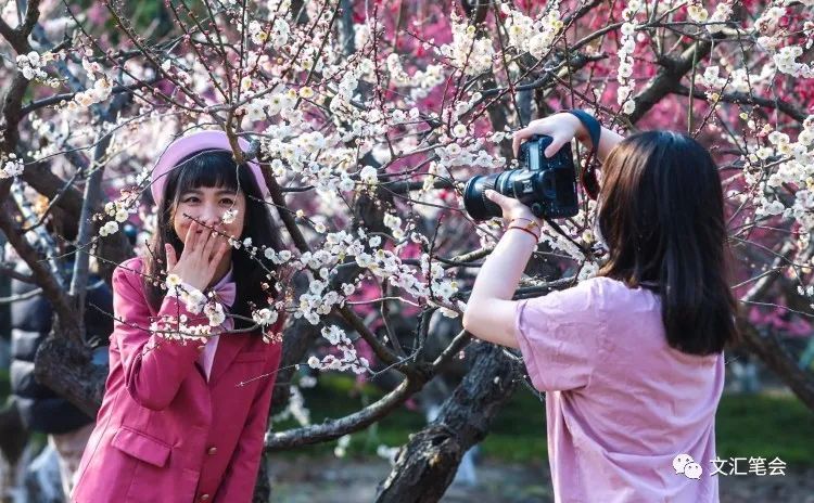 春梦婆.jpg 春梦婆.jpg