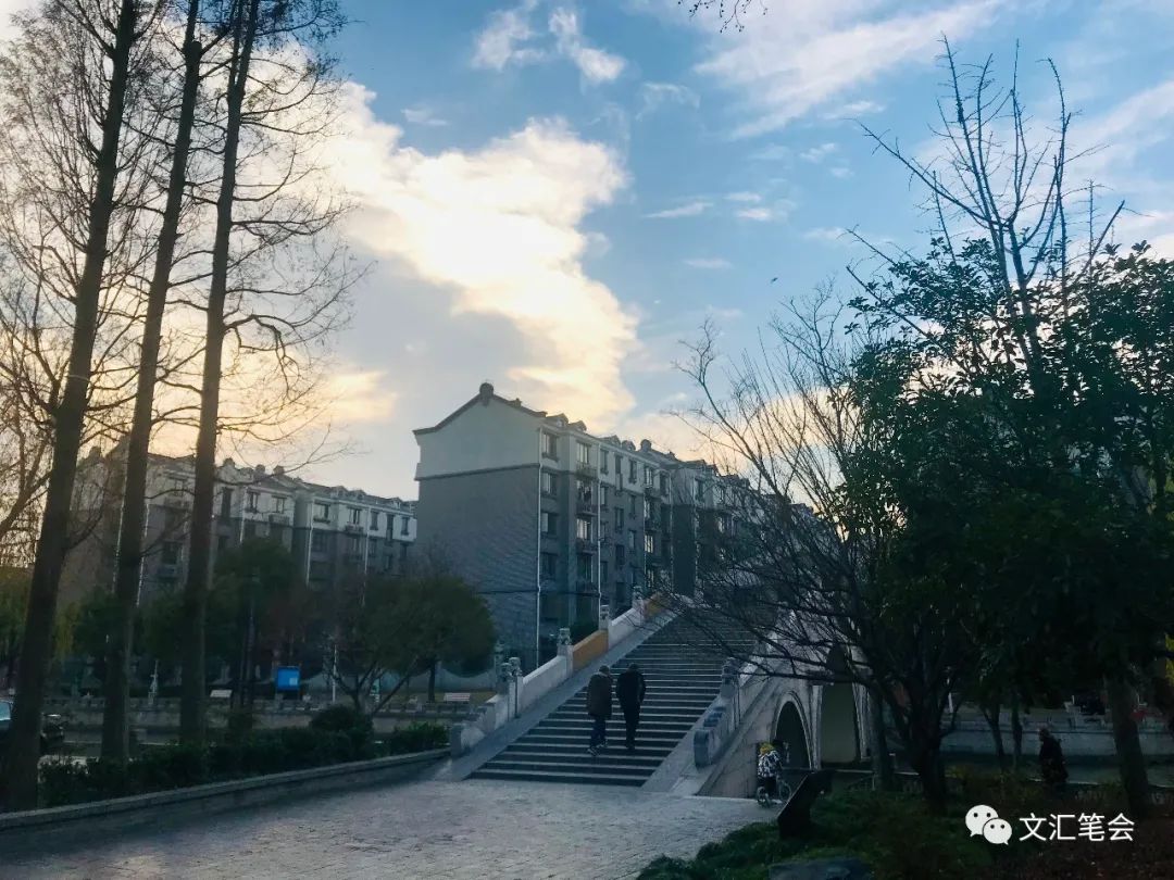 母亲2.jpg 母亲2.jpg