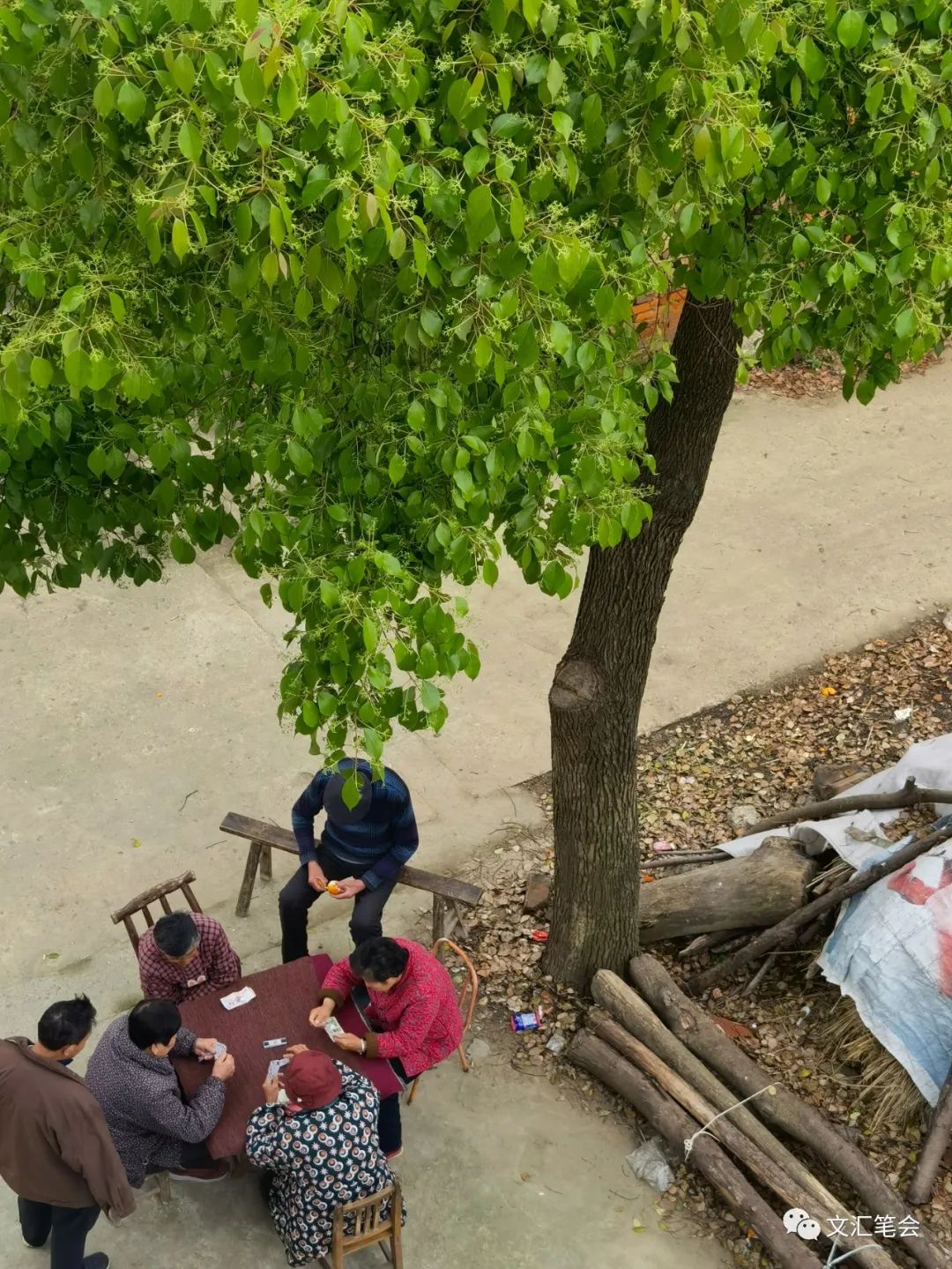 舒飞廉:打麻将.jpg 舒飞廉:打麻将.jpg