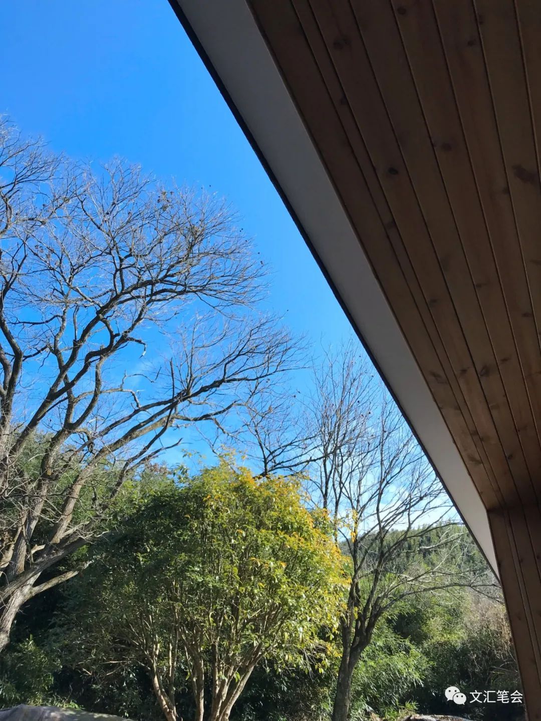 山中1.jpg 山中1.jpg