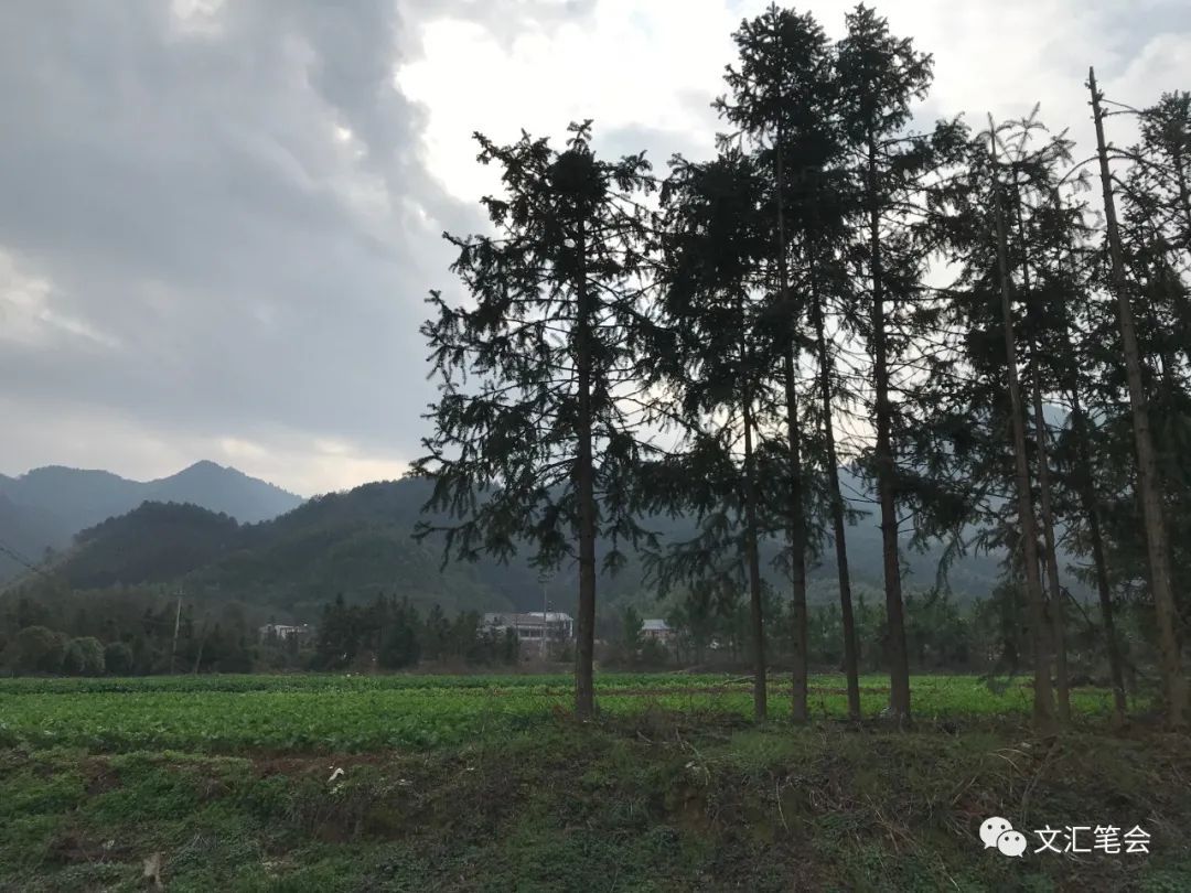 山中2.jpg 山中2.jpg