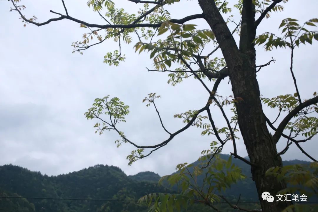 山中3.jpg 山中3.jpg