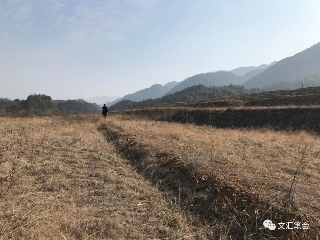 山中5.jpg 山中5.jpg