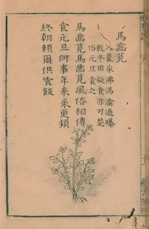 野菜1.jpg 野菜1.jpg