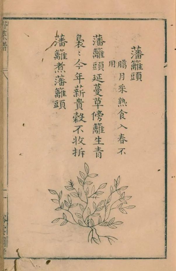 野菜2.jpg 野菜2.jpg